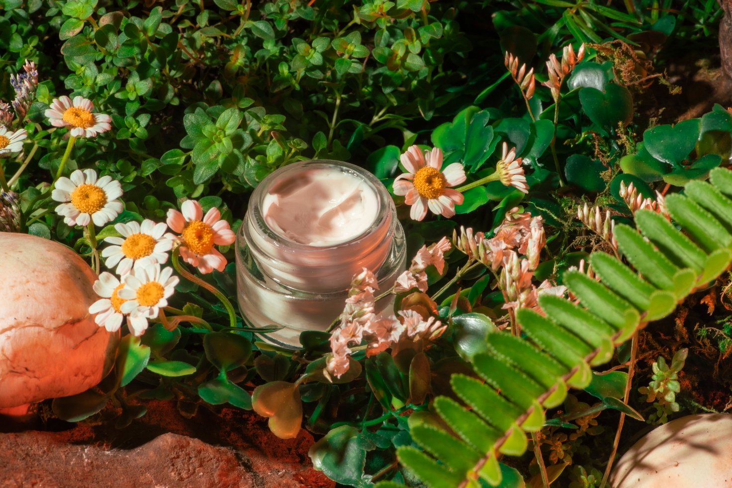 Jar of Cosmetic Cream in Nature